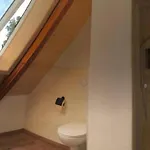 Moderne Mit Hot Tub Und Fasssauna By Interhome Neuhaus an Der Eger