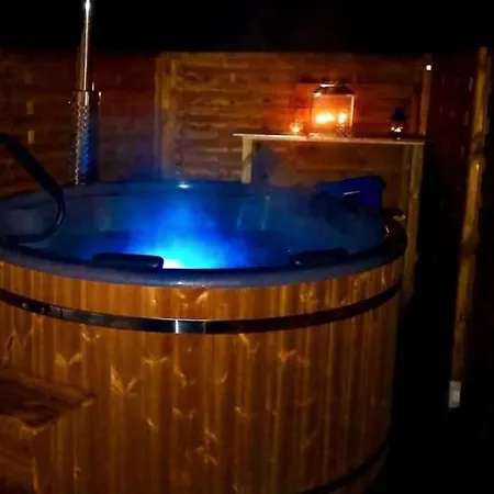 Moderne Mit Hot Tub Und Fasssauna By Interhome * Neuhaus an der Eger