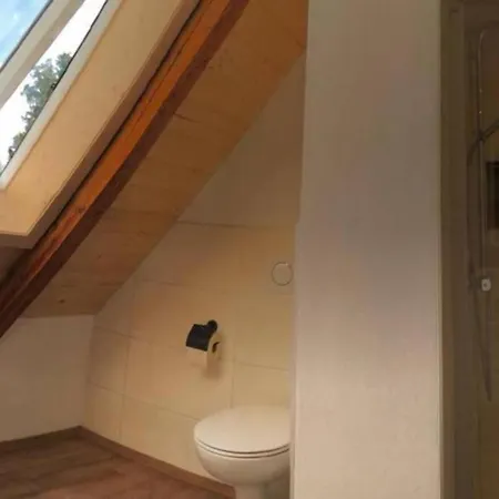 Moderne Mit Hot Tub Und Fasssauna By Interhome Neuhaus an Der Eger